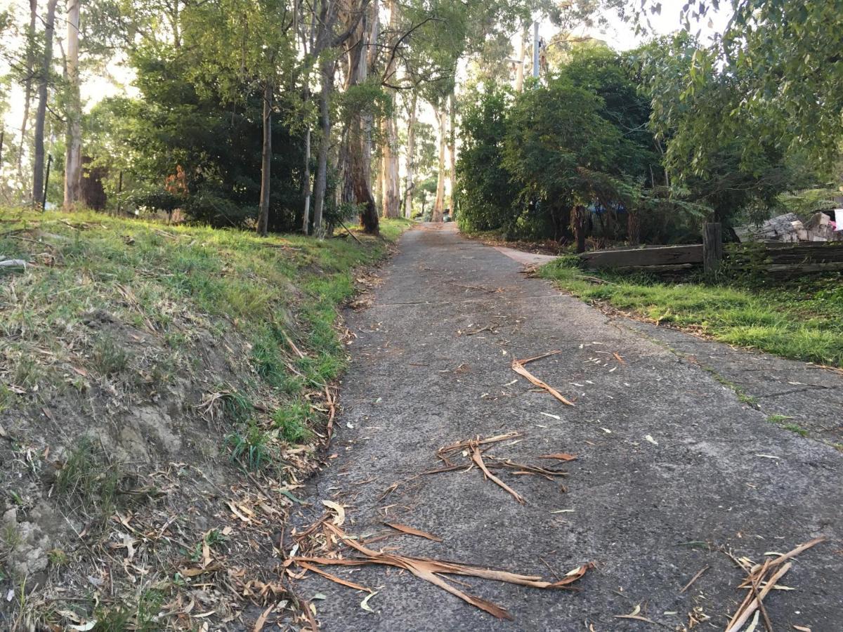 הוילה בלגרייב Steep Creek Retreat מראה חיצוני תמונה